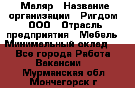 Маляр › Название организации ­ Ригдом, ООО › Отрасль предприятия ­ Мебель › Минимальный оклад ­ 1 - Все города Работа » Вакансии   . Мурманская обл.,Мончегорск г.